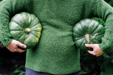 Person holding pumpinks